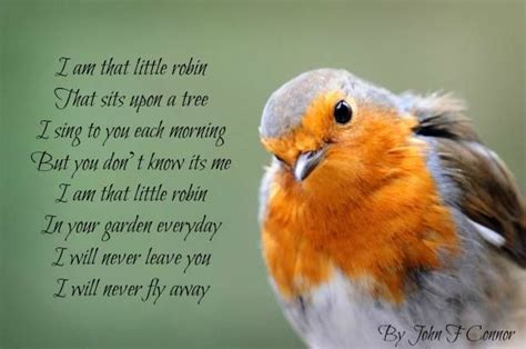 Pin By Bernadette A On Chanty Bird Quotes Robin Bird Red Robin Bird