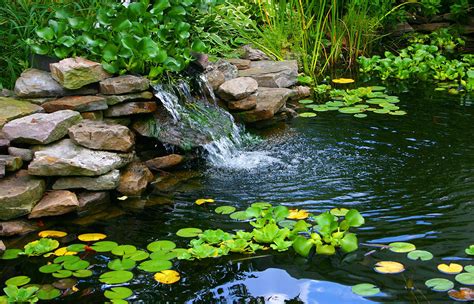 Homemade Pond Landscape Photograph By Cindy Haggerty
