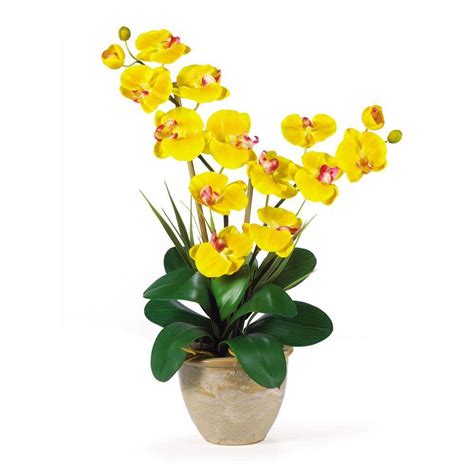 Nearly Natural 25 In Double Stem Phalaenopsis Silk Orchid Flower