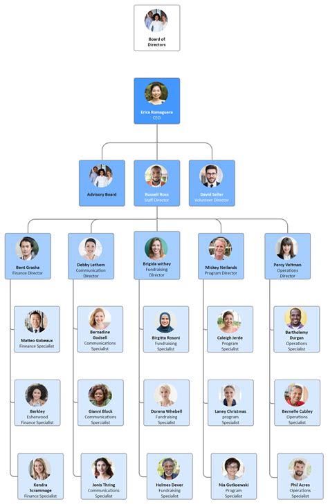 Hierarchy Organizational Chart Complete Guide Edrawmax