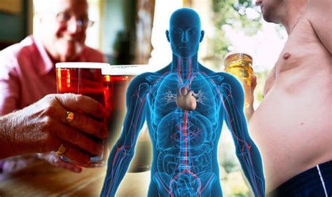 What Does Drinking Do To Your Body
