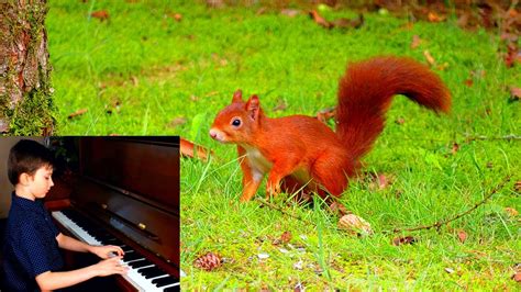 Piano Squirrels At Play By Boris Berlin Білочки граються ББерлін