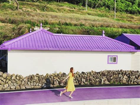 미국 여행사이트 신안 퍼플섬, 퍼플 여행지로 소개. 9월 국내 여행지 추천 :: 가을의 초입에서 다녀오는 인스타 속 ...