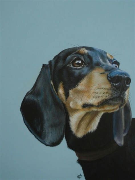 Dachshund Portraits Pop Art Dog Portraits Painting Wildlife Paintings