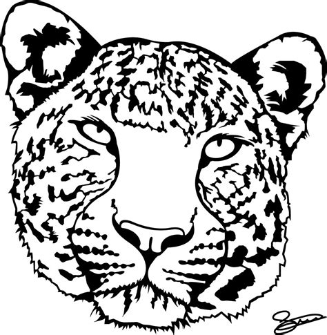 Amur Leopard Drawing Free Download On Clipartmag