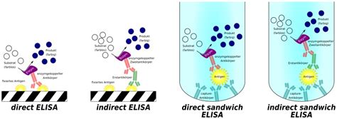 Elisas can be performed with several modifications to the basic procedure: What is the Difference Between ELISA and ELFA - Pediaa.Com