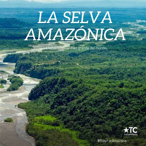 La Selva Amazónica es considerada El Pulmón del Mundo y el incendio