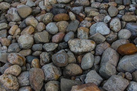 Free Images Landscape Nature Outdoor Rock Wood Cobblestone