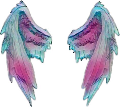 Aesthetic Transparent Background Angel Wings Png Transparent