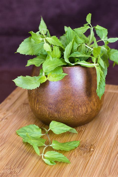 Fresh Mint In A Wooden Brown Bowl On The Table Stock Image Image Of