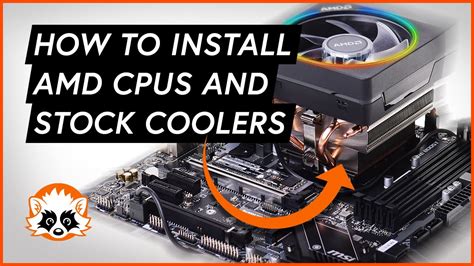 How To Install Amd Ryzen Cpu And Amd Stock Coolers 2021 Pc Build