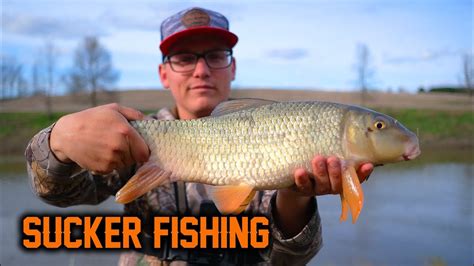 Spring Sucker Fishing With Eastern Ontario Adventure Youtube