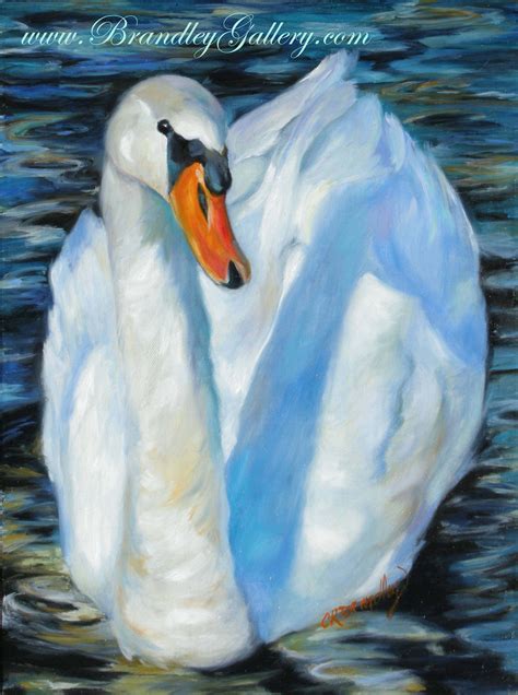The Swan Original Oil Painting By Chris Brandley Brandleygallery