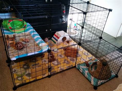 Indoor Rabbit Cage Setup Animal Cage
