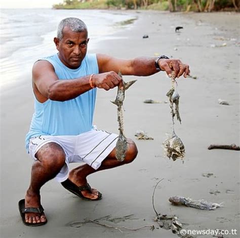 Massive Oil Spill In Trinidad And Tobago Kills Fish Makes Humans Puke