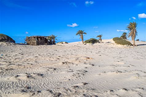Djerba Island Mediterranean Seashore Ras Rmel Peninsula Stock Photo