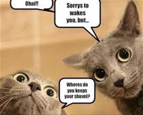 Baby cartoon animation videos that children like to watch. Funny cats With Captions 2012 | Funny World