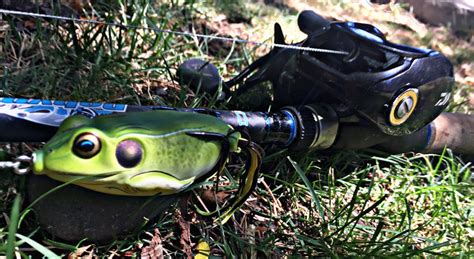 Basics Of Frog Fishing Lucky Tackle Box