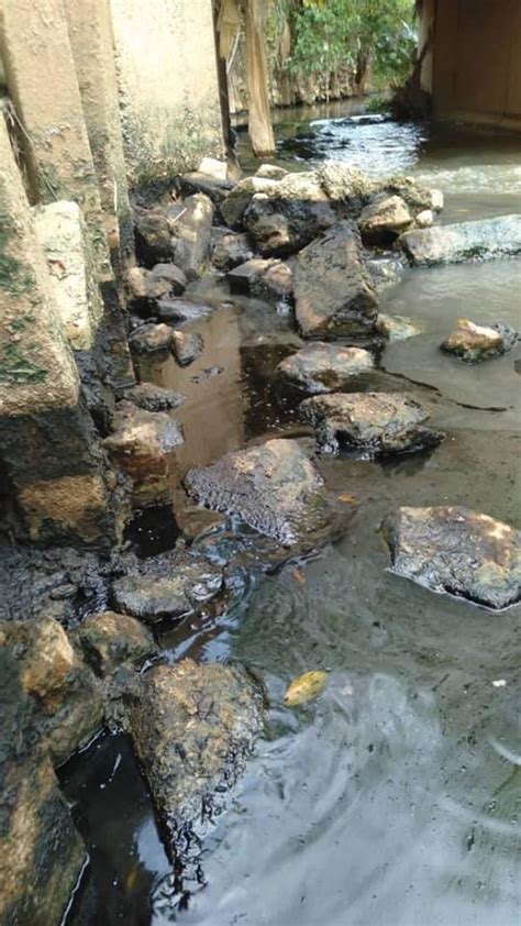 Pencemaran sisa kimia sungai kim kim 2019 ialah kejadian pencemaran air yang berlaku pada 7 mac 2019, berpunca daripada pembuangan sisa kimia di sungai kim kim di pasir gudang, johor, malaysia. Pencemaran kimia, nyawa rakyat dipertaruhkan