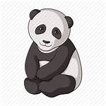 Herbivore Panda Cartoon Icon Animals Bitmap Zoo