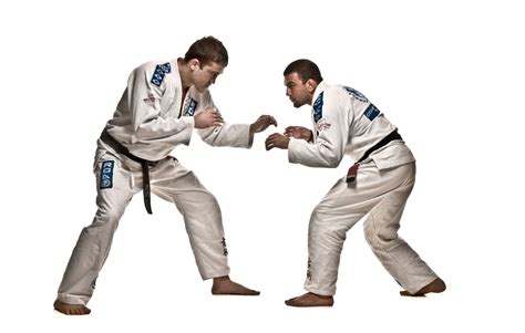 9 Reasons Why Brazilian Jiu Jitsu Is The Perfect Martial