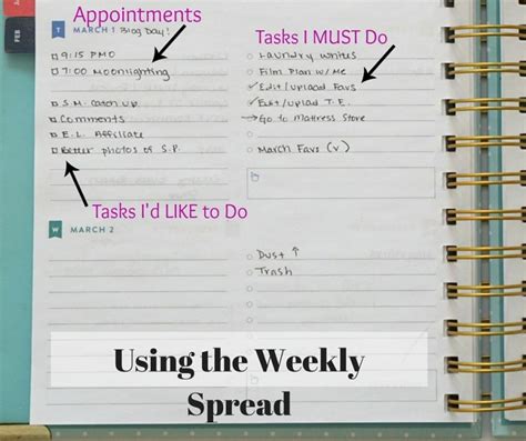 Using The Simplified Planner Monthly Weekly And Daily Planning Cup