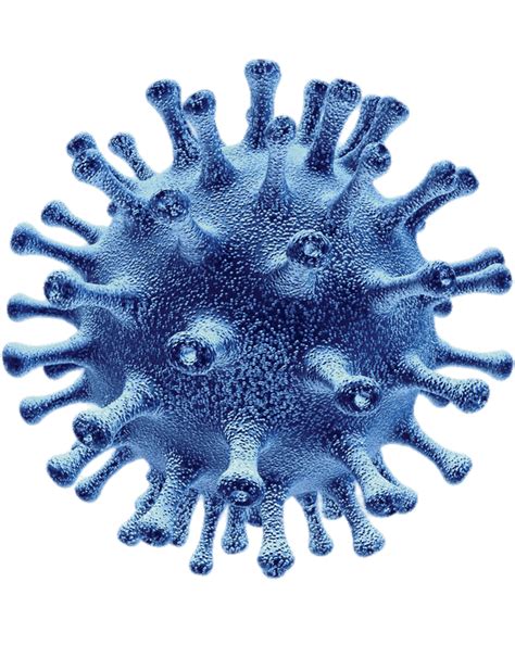 Flu Virus Bacteria Intestine Coronavirus Sticker By Mwsk