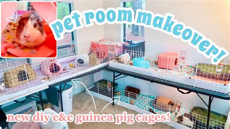 PET ROOM MAKEOVER Building New C C Guinea Pig Cages Reorganizing