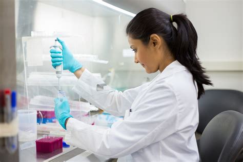 Career Paths For Biomedical Science Majors Florida Tech Ecurrent