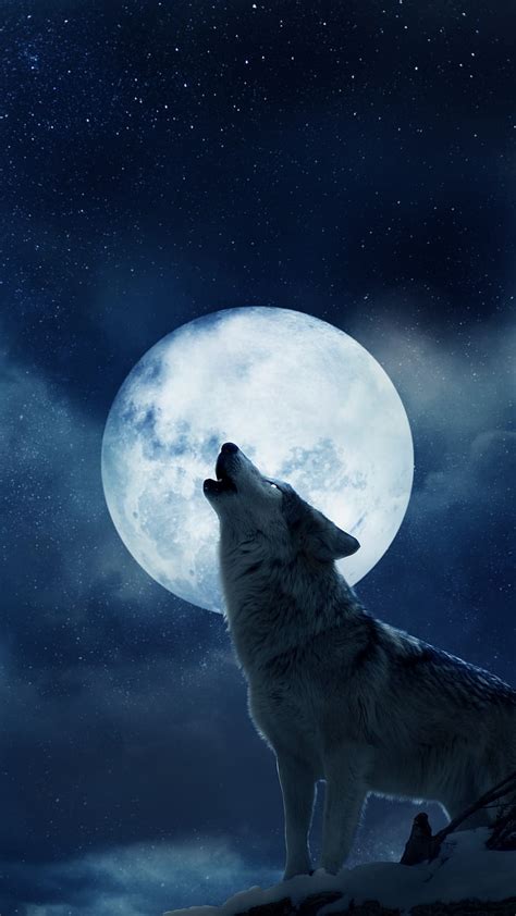 White Wolf Howling At The Moon Wallpaper