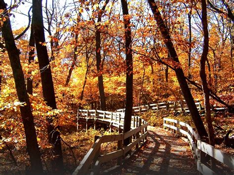 Fontenelle Forest Is The Best Place To See Fall Foliage In Nebraska