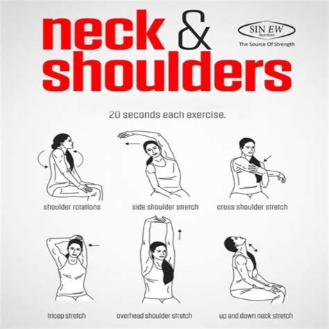 Neck And Shoulders Exercises Training Neck Shoulder Gym Fitness