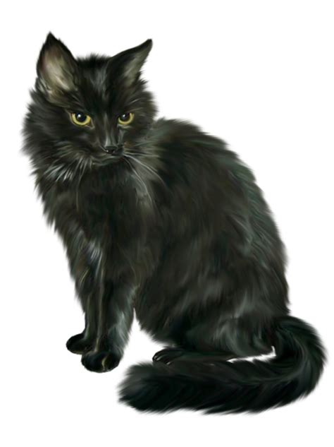 Siamese Cat Black Cat Halloween Clip Art Black Cat Png Download 599