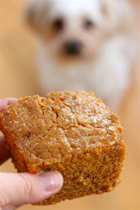 The 9 Best Homemade Dog Treats Foodie