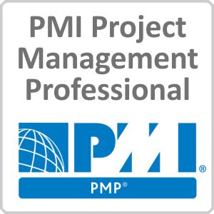 Pmp stands for project management professional. PMP Project Management Professional Online Training Course
