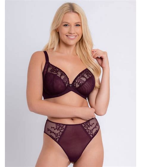 Curvy Kate Centre Stage Full Plunge Bra Fig Purple Curvy Bras