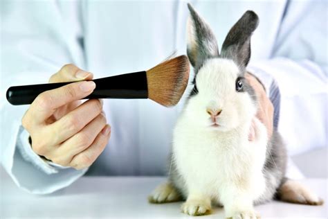 Ending Cosmetic Animal Testing