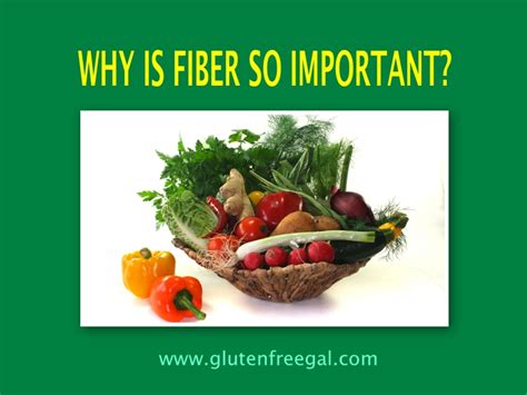 Why Is Fiber So Important Glutenfreegal