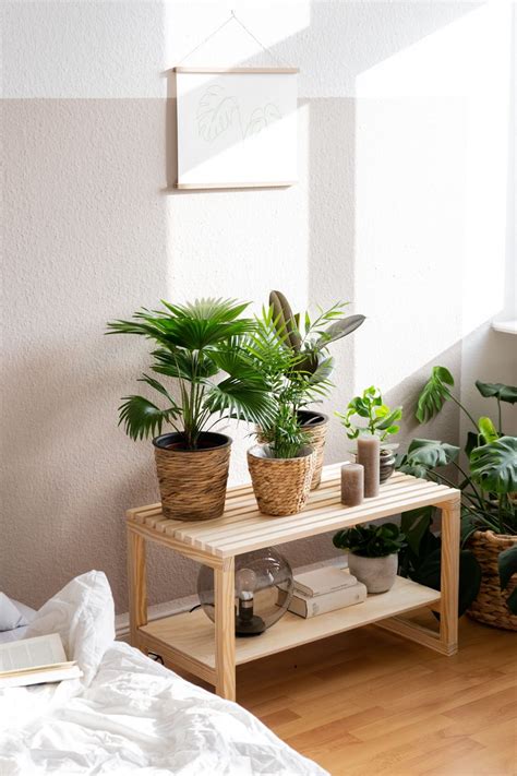 (3) insgesamt 3 bewertungen, eur 16,99 neu. DIY Deko Idee: Urban Jungle Feeling im Schlafzimmer | Deko ...