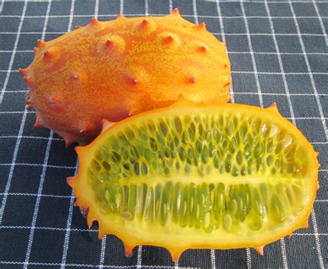 Horned Melon Cucumis Metuliferus Today Isfava Beans