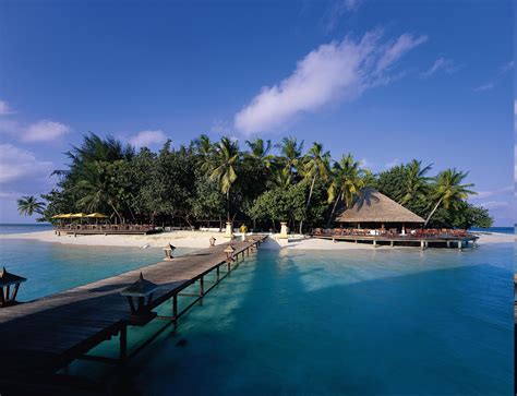 Nature Landscape Resort Walkway Beach Palm Trees Tropical Sea
