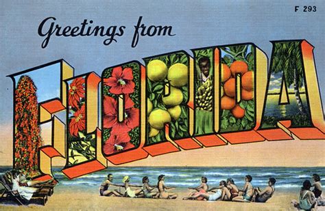 Greetings From Florida Large Letter Postcard Production Flickr