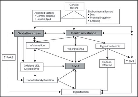 Hypertension Dyslipidemia And Insulin Resistance In Patients With