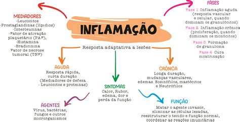 Inflamação Mapa Mental Imunologia