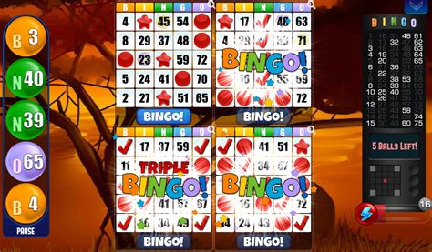 Bingo Free Bingo Games For Android Apk Download
