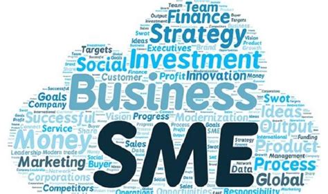 Importance Of Professional Management For Smes