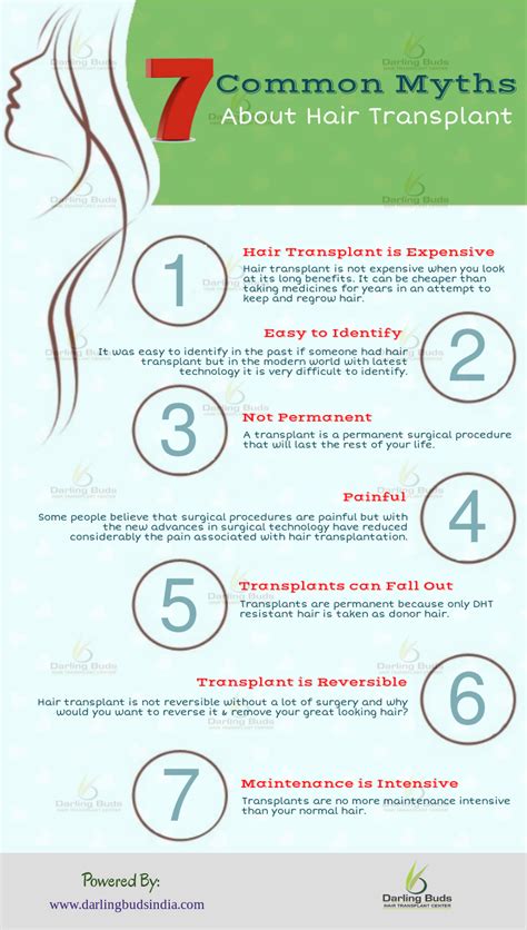 7 Common Myths About Hair Transplant Visual Ly