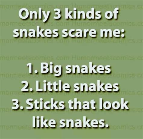 Only 3 Kinds Of Snakes Scare Me Work Quotes Funny Funny Minion