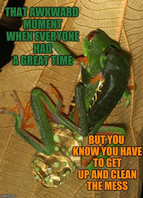 Finishing Out Frog Week With A Bang Frog Week June 4 10 A Jbmemegeek