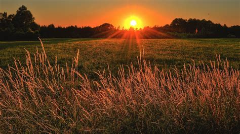 Brown And Green Grass Field During Sunset 3840x2160 Wallpaper